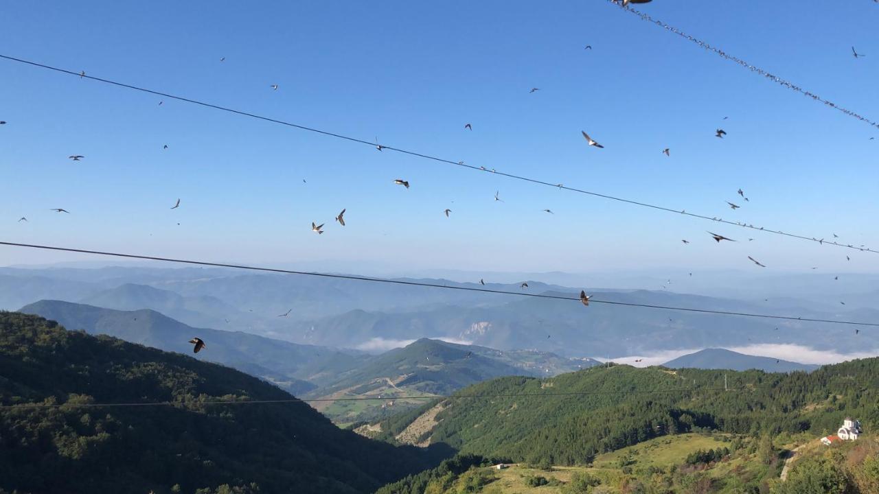 Milmari M12 Kopaonik Exterior foto