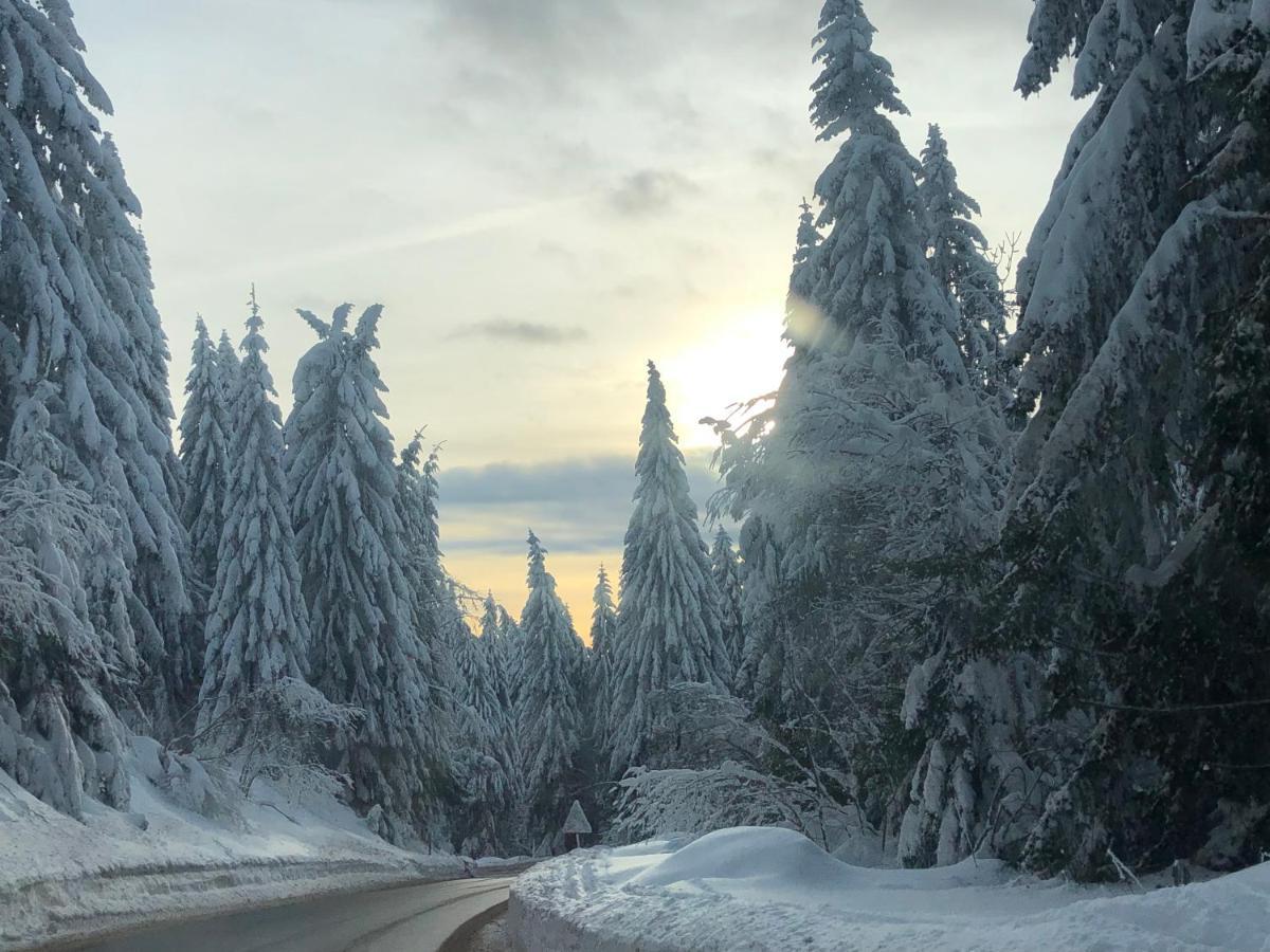 Milmari M12 Kopaonik Exterior foto